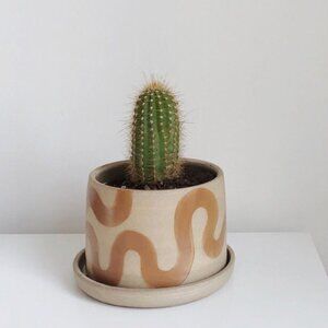 STUDIO SONTOSIS New Tan Squiggle Planter with Saucer